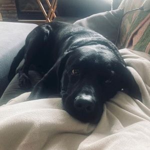 Meet your Posher, Charleen